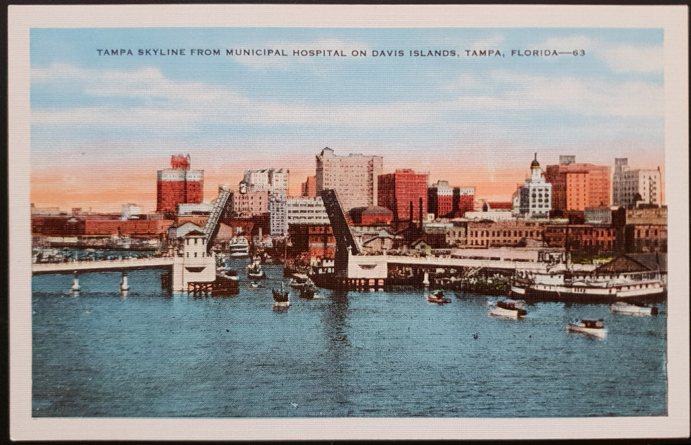 (image for) postcard USA - FL - Florida #0016